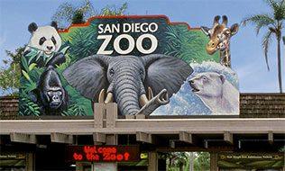 Which is worth San Diego Zoo Taxi to Airport or Professional Cab to Airport?